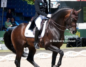 Ingrid Klimke and Franziskus at the 2024 German Dressage Championships :: Photo © Barbara Schnell
