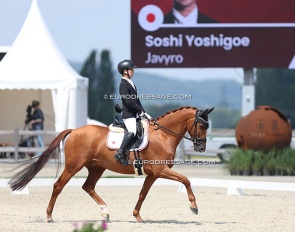 Soshi Yoshigoe on Javyro at the 2024 CPEDI Hagen :: Photo © Astrid Appels