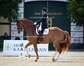 Nanna Merrald and Blue Hors Zepter at the 2024 CDI Hagen, the June Edition :: Photo © Astrid Appels