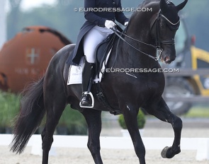 Yvonne Osterholm and Ironman H at the 2024 CDI Hagen - the June Edition :: Photo © Astrid Appels