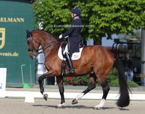 Steffen Peters and Suppenkasper at the CDI Hagen on 6 June 2024 :: Photo © Astrid Appels