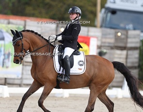 Engla Svärd - Hamiltons I Did It My Way at the 2024 CDI Sint-Truiden :: Photo © Astrid Appels
