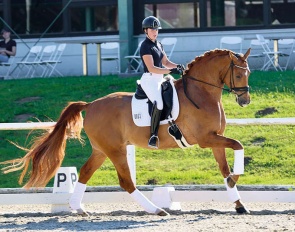 Jennifer Stein on Bernadette Brune's Enrico de Hus at the first German WCYH selection trial of 2024 :: Photo © private