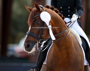 Flynn PCH :: Photo © Astrid Appels