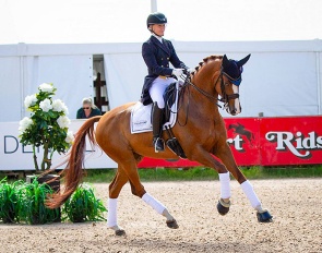 Jennie Johansson and Luuk H finished second in the 7-year old division at the 2023 Falsterbo Horse Show :: Photo © Catharina Brink