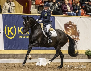 Jeanna Hogberg and Adelinde at the 2023 Swedish Warmblood Young Horse Championships :: Photo © Kim Lundin