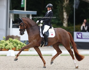 Quinn G, the 2023 World Young Horse Champion, has been selected for Ermelo 2024 under new owner and rider Fiona Bigwood. Initially Charlotte Dujardin was scheduled to compete her in Ermelo, but the rider has been suspended :: Photo © Astrid Appels