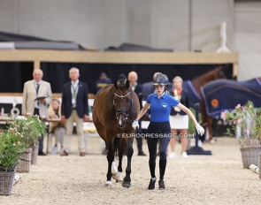 Oleksandra Shlykova (UKR) trotting up Touch Down W in the horse inspection for the 2024 European Pony, Children, Junior Riders Championships :: Photos © Astrid Appels