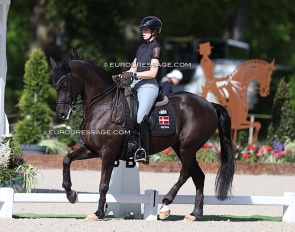 Carina Cassoe Kruth training Heiline's Danciera at the 2024 CDIO Compiegne :: Photo © Astrid Appels