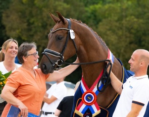 Raspoetin-K van Kattenheye :: Photo © Digishots