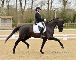 British Olympian Fiona Bigwood on Newton Sylvanite :: Photo © LRG Photography