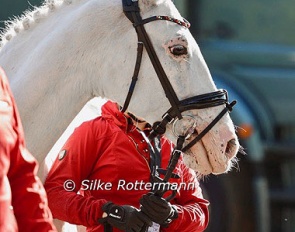 German Para Team Horse Nautika :: Photo © Silke Rottermann