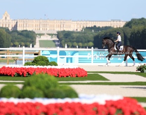 Mary Hanna schooling Ivanhoe at the 2024 Paris Olympics :: Photo © Astrid Appels