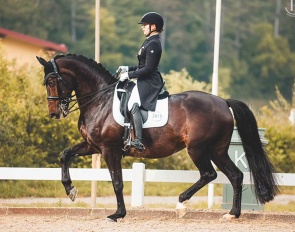 Fulrike Utica, KWPN bred Grand Prix mare by Van Gogh x Concorde