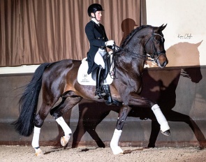 German Olympian Helen Langehanenberg on Stolzenberg Malleret :: Photos (c) Karen Chaplin