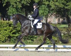 Ditta Gilkaer and Gozzip :: Photo © Ridehesten