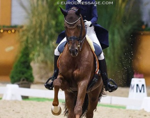 Kirsten Brouwer and Foundation RR at the 2022 CDI Kronenberg Indoor :: Photo © Astrid Appels