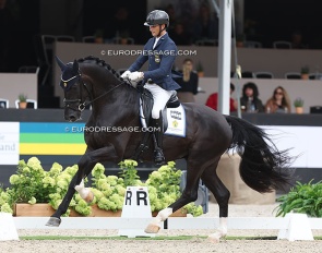 Skyline to B at the 2023 World Young Horse Championships :: Photo © Astrid Appels