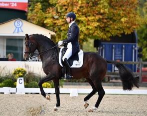 Patrik Kittel and Zoulmate at the 2024 CDI Hagen on 27 September 2024 :: Photo © Dirk Ruchel