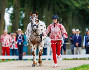 Jody Schloss’ El Colorado (CAN) being trotted up at the horse inspection for the 2024 Paralympics :: Photo © Hippofoto