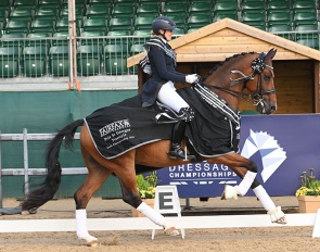 Sarah Higgins on Sarah Rao's Geniaal at the 2024 British Dressage Championships :: Photo © Kevin Sparrow