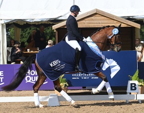 Jezz Palmer on Premier in the 2024 British Young Horse Championships :: Photos © Kevin Sparrow