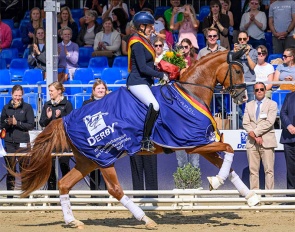 Mantovani Horses acquired the 2024 Bundeschampionate winner "Senorita La Bonita" at the Westfalian Autumn Elite Auction :: Photo © Westfalenpferde.de