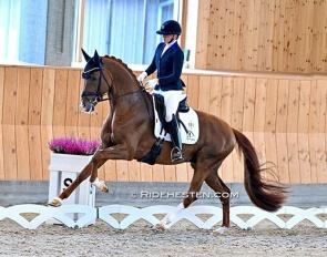 Nanna Skodborg Merrald and Viva Vegas at the 2024 Danish Young Horse Championships :: Photo © Ridehesten