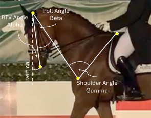 GET analysing the head/neck position of a horse with A.I.