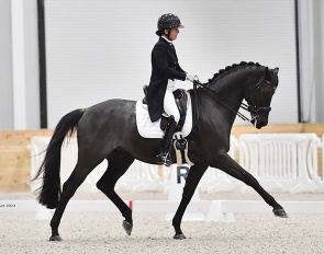 Karen Lipp and Infinity at the 2024 CDI ocala :: Photo © A. Ryback