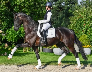 Livarello (by Livaldon x Florencio x Santander H)