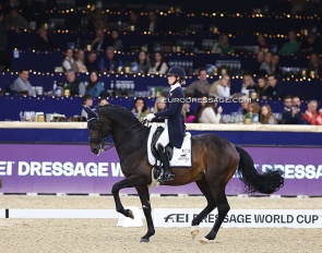Dinja Van Liere and Hermes win the World Cup Qualifier at the 2024 CDI-W Mechelen :: Photo © Astrid Appels
