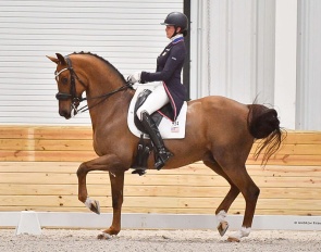 Anna Marek and Fayvel in the Grand Prix Special at the 2024 CDI-W Ocala :: Photos © Andrew Ryback