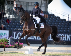 Tanya Strasser competing Mr Morrison at the 2024 World Young Horse Championships in Ermelo in September :: Photo © Astrid Appels