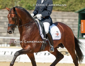 Nicolette van Lierop on Rousseau at the 2003 World Young Horse Championships in Verden :: Photo © Dirk Caremans