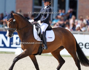 Jeanine Nieuwenhuis and Great Lady TC at the 2017 World Young Horse Championships :: Photo © Astrid Appels