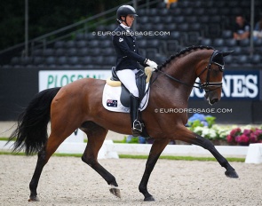 Simone Pearce and Casablanca at the 2017 World Young Horse Championships :: Photo © Astrid Appels