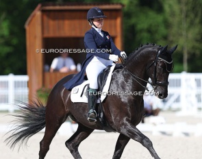 fenella Quinn and Empire B at the 2022 CDIO Compiegne :: Photo © Astrid Appels