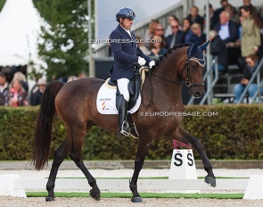 Antonio Segui Sintes on Will Marq at the 2022 World Young Horse Championships :: Photo © Astrid Appels
