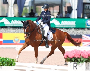 Ally Dunlop and Givarro at the 2023 CDI Palm Beach Derby :: Photo © Astrid Appels