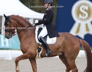 Mathis Goerens and Flash Gordon in the Louisdor Cup qualifier at the 2024 CDI Hagen :: Photo © Astrid Appels