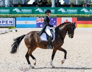 Jemma Heran and Total Recall at the 2025 CDI-W Wellington :: Photo © Sue Stickle