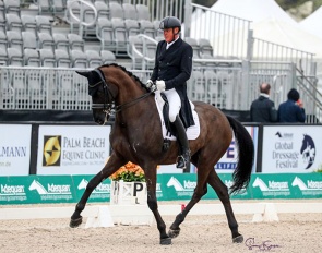 Michael Klimke on his new Grand Prix, Dante's Peak, at the 2025 CDI-W Wellington :: Photo © Astrid Appels