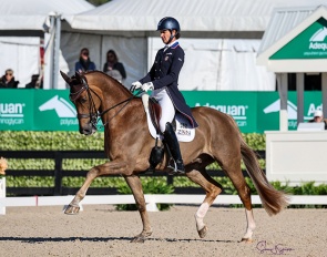 Adrienne Lyle and Helix at the 2025 CDI-W Wellington :: Photo © Sue Stickle