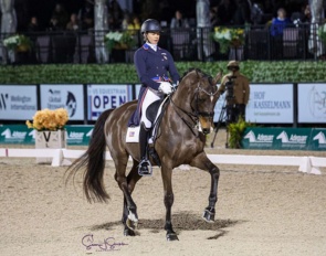 Anna Marek and Fire Fly at the 2025 CDI-W Wellington during GDF Week 3 :: Photo © Sue Stickle