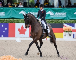 Susan Pape and Eclectisch at the 2025 CDI-W Wellington