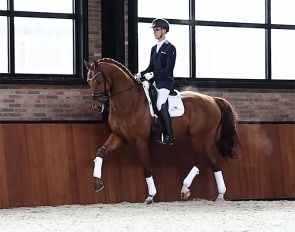 Marten Luiten and Mowgli VOD in 2022