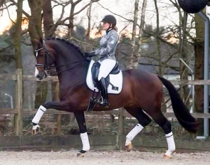 Hitmaker (by Wynton x Cabochon x Pantheon xx)