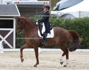 Emma Jonsson and Gerion at the 2024 CDI Sint-Truiden :: Photo © Astrid Appels