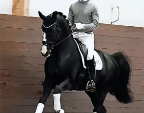 Oneofakind OM (by Total Hope x Zack)